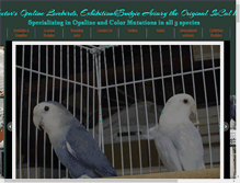 Tablet Screenshot of lovebirdsaviary.com